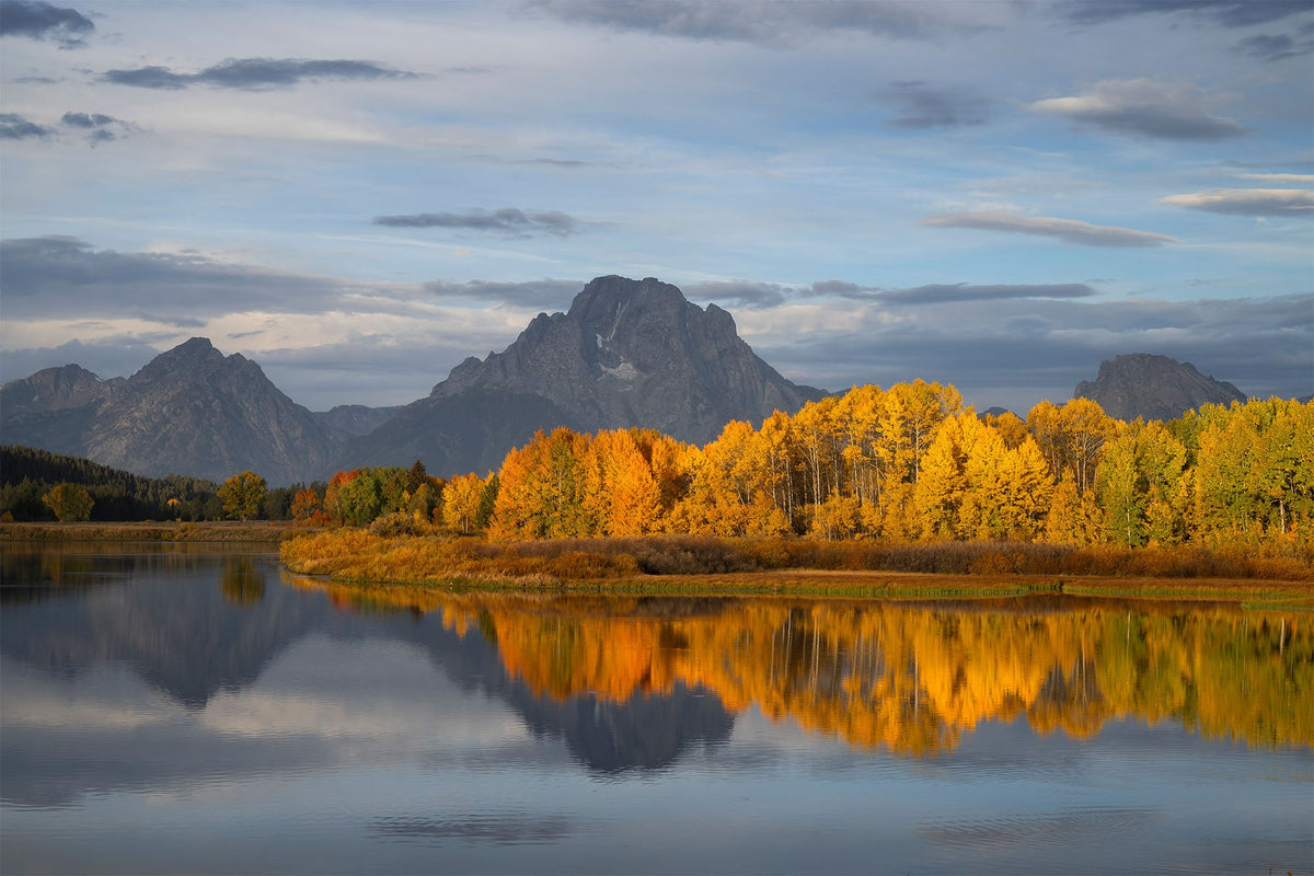 Moran Reflection