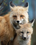 Family Portrait