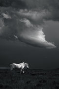 Storm Drifter BW