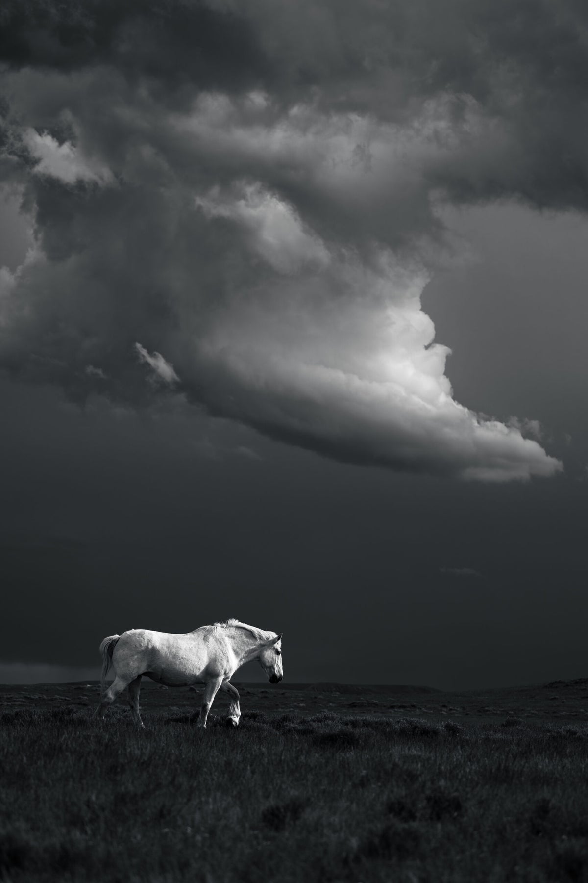 Storm Drifter BW