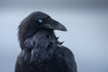 Eye of Odin