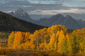 Teton Colors