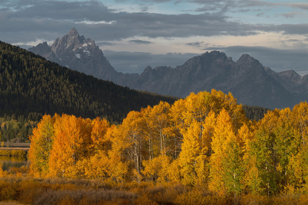 Teton Colors