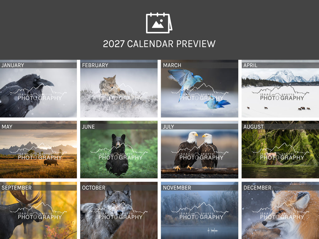 2027 Wildlife Calendar