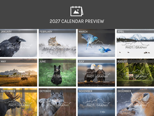 2027 Wildlife Calendar