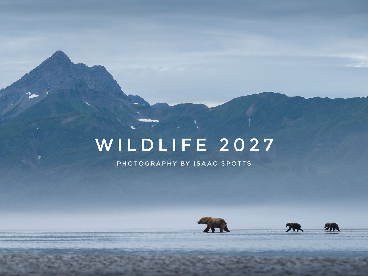 2027 Wildlife Calendar
