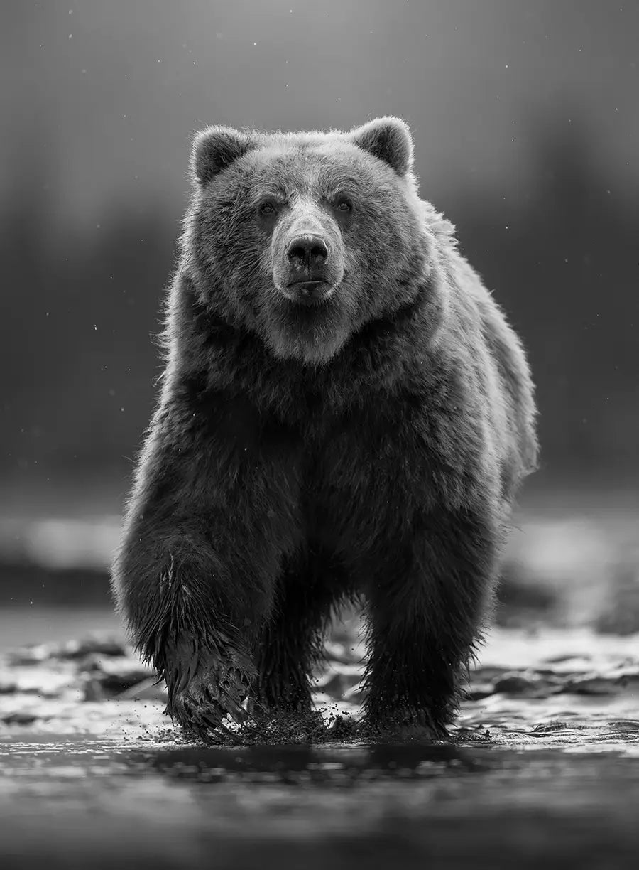 Eyes on the Prize BW