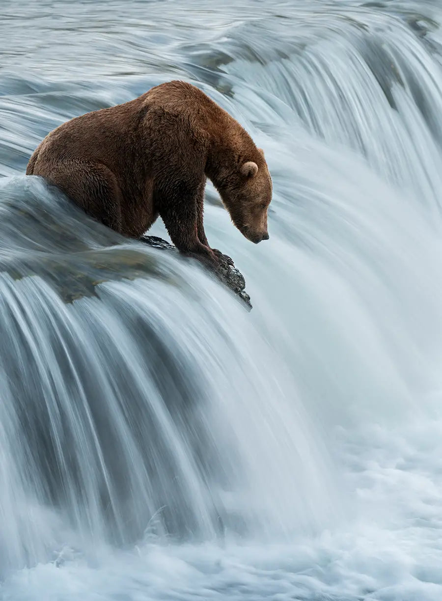 Patient Fisherman