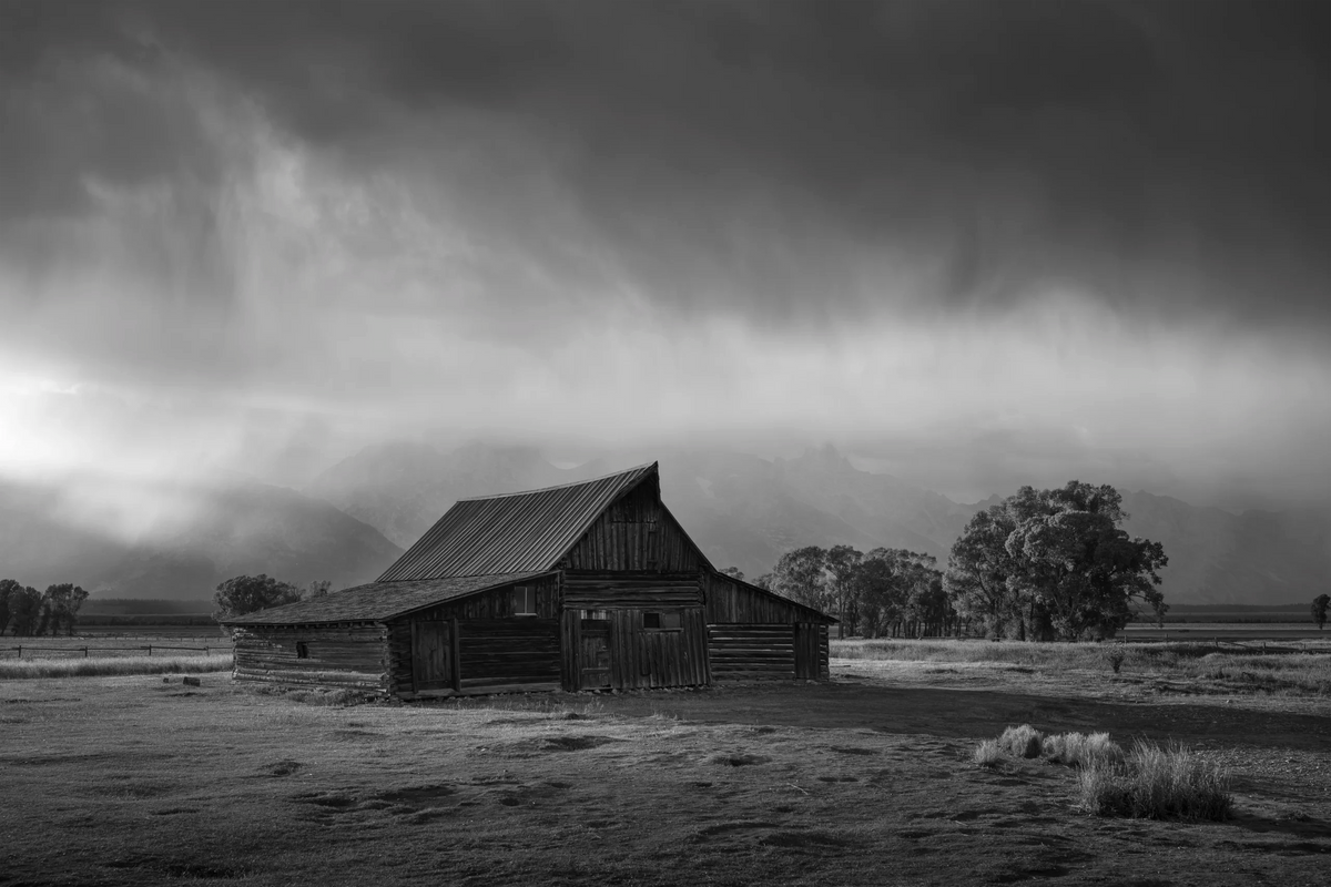 Test of Time - BW