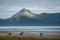 This is Alaska