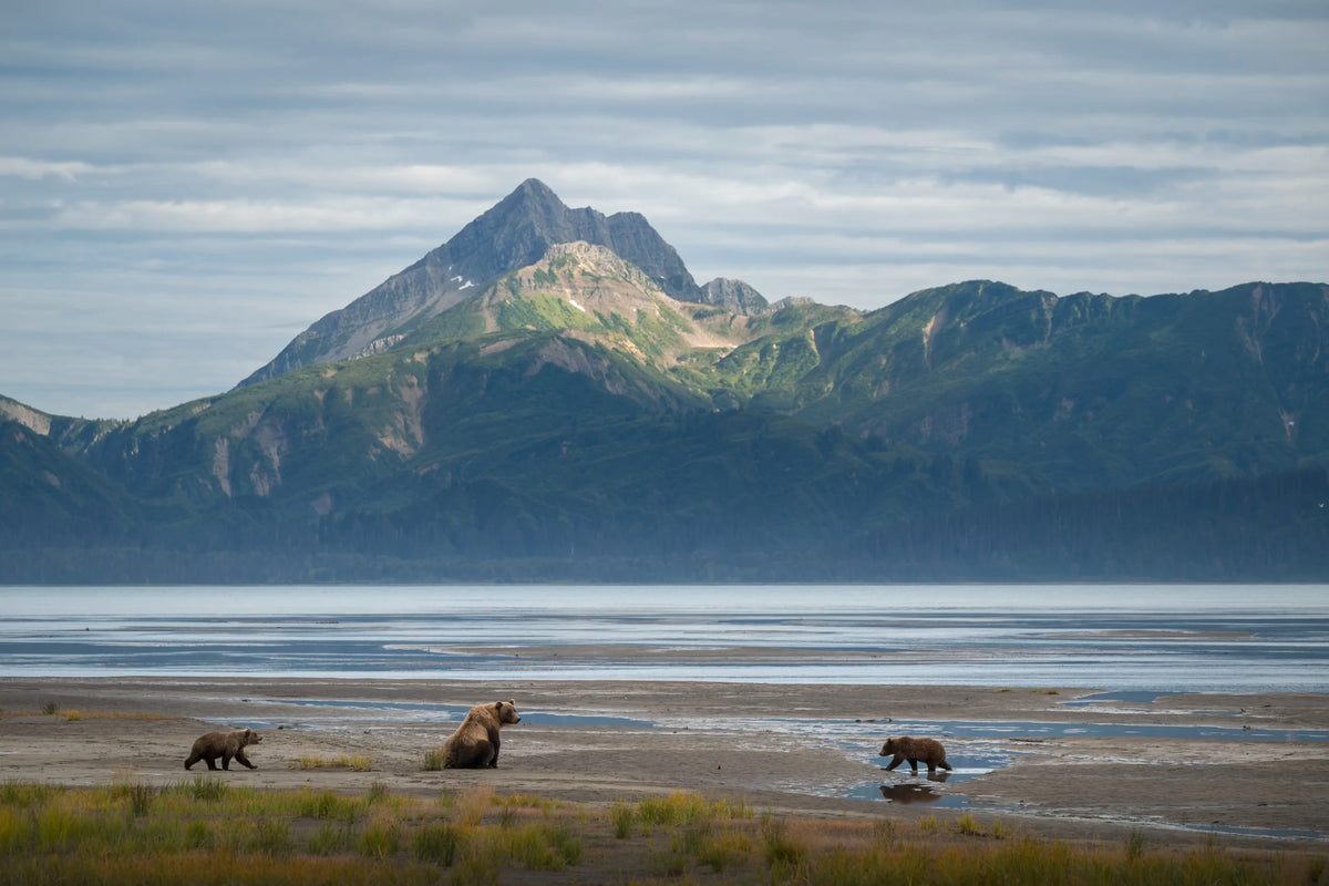 This is Alaska