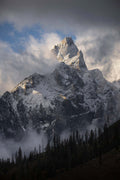 Mountain Majesty