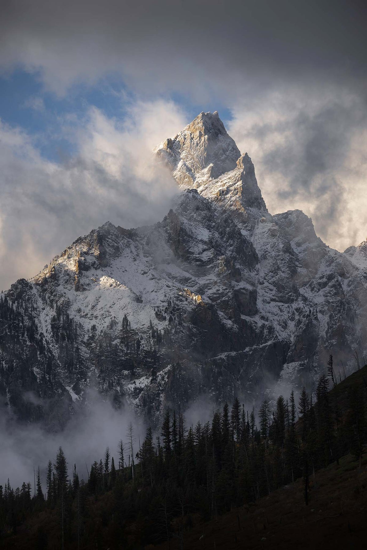 Mountain Majesty