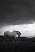 Mountain Guardian BW