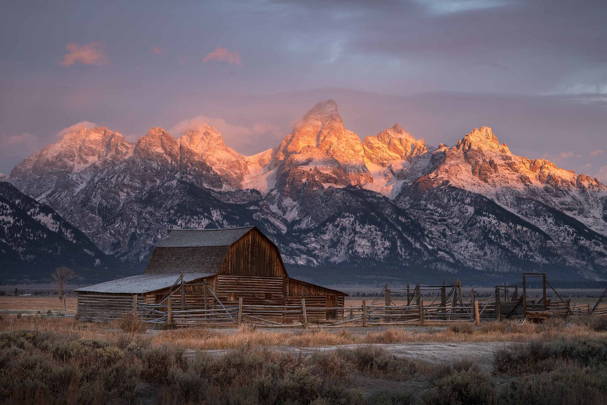 Old Homestead