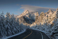 Road to Heaven