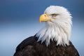 Spirit Of America