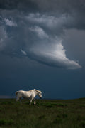 Storm Drifter