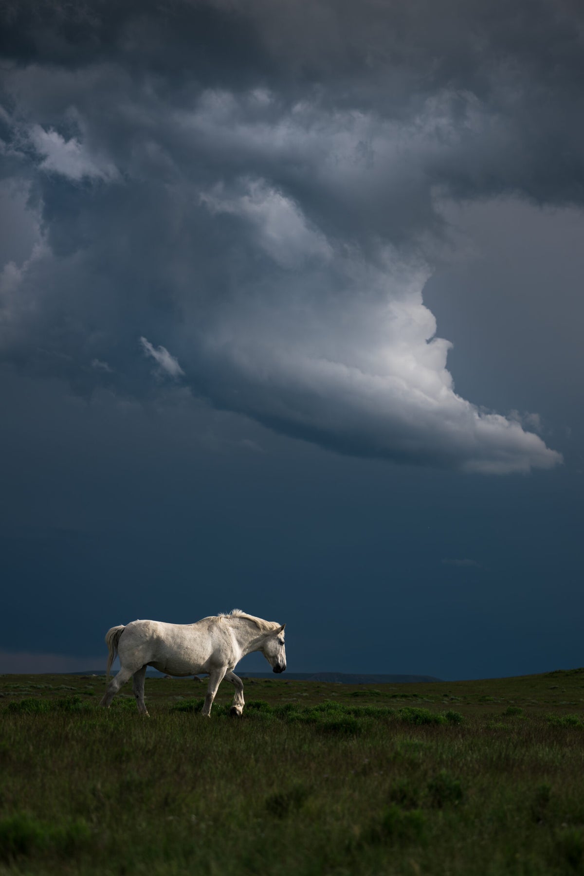 Storm Drifter