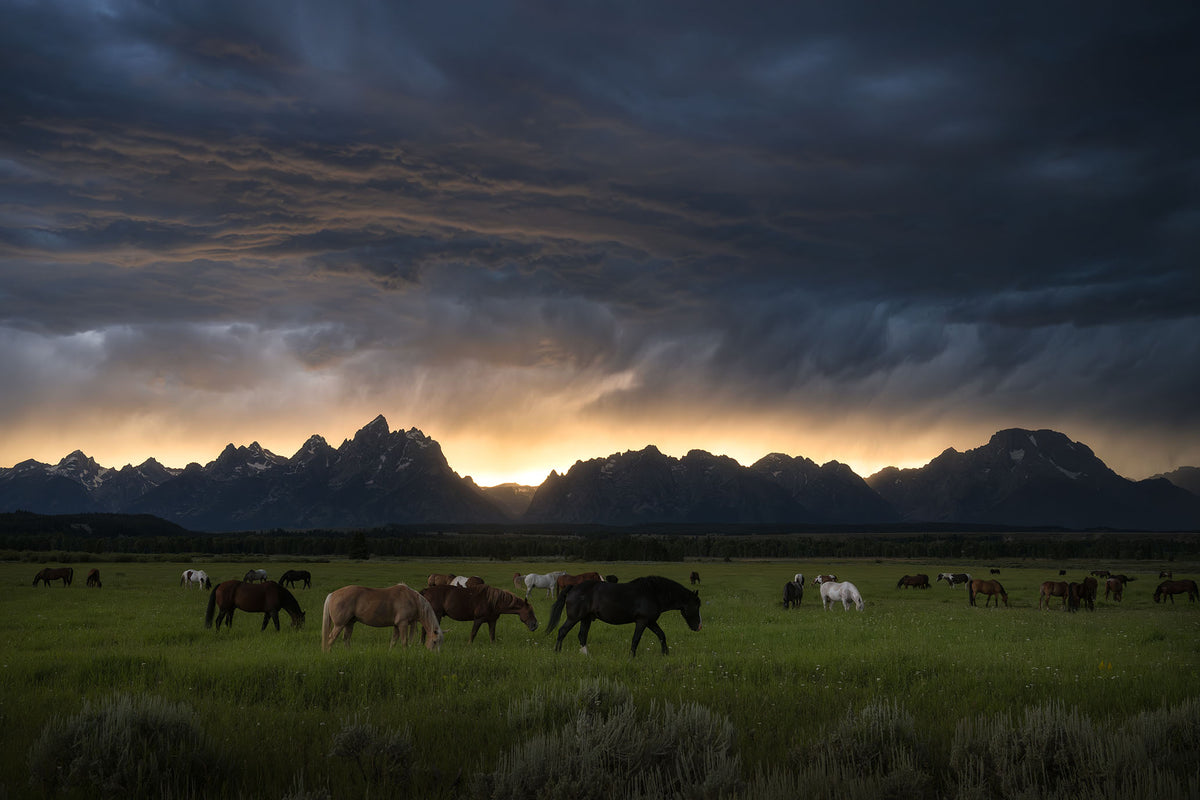 Sunset Storm