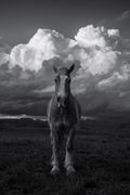 Wind River Explosion BW
