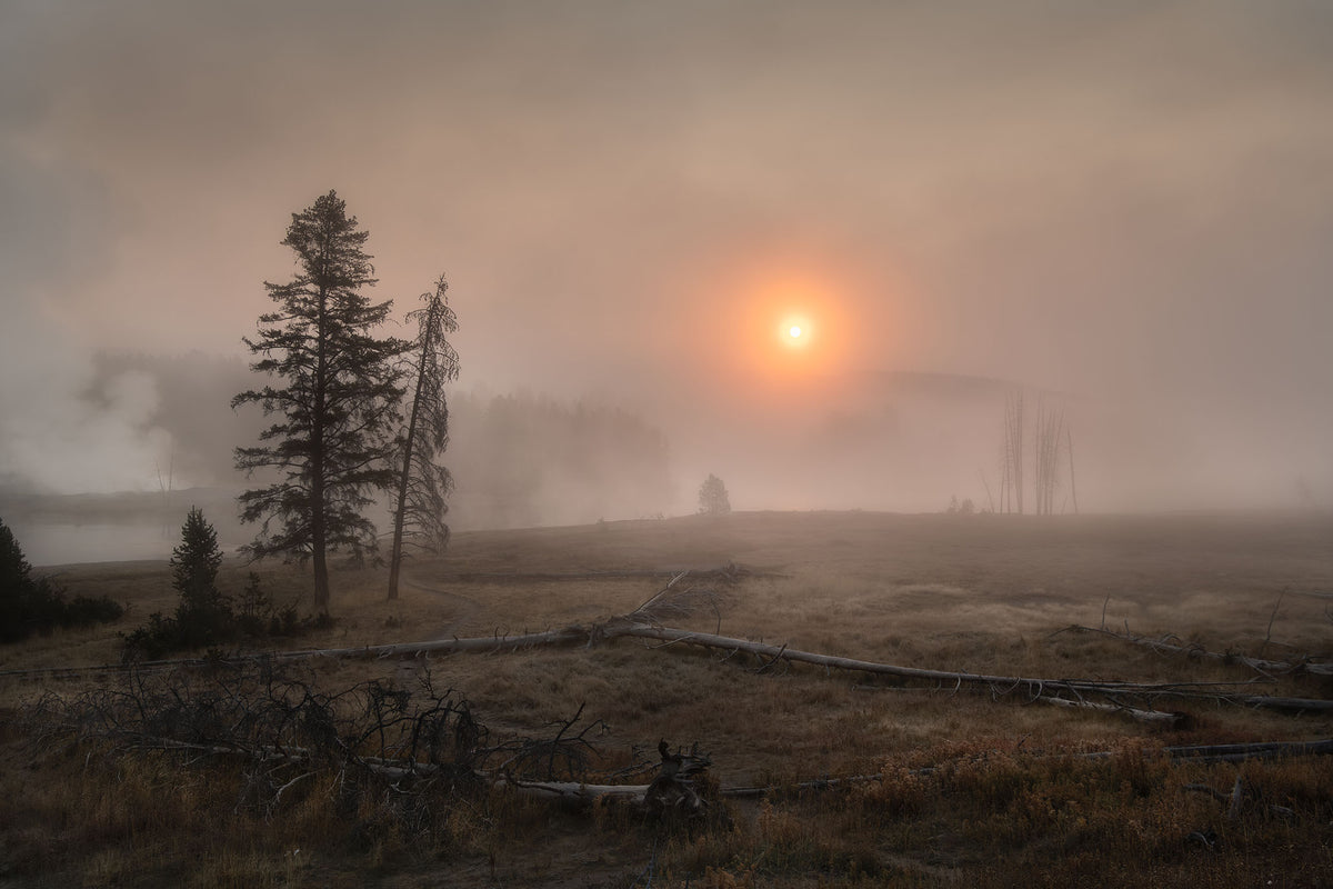 Yellowstone Fire