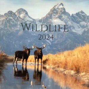Isaac Spotts Photography | 2024 Wildlife Calendar | Purchase Now