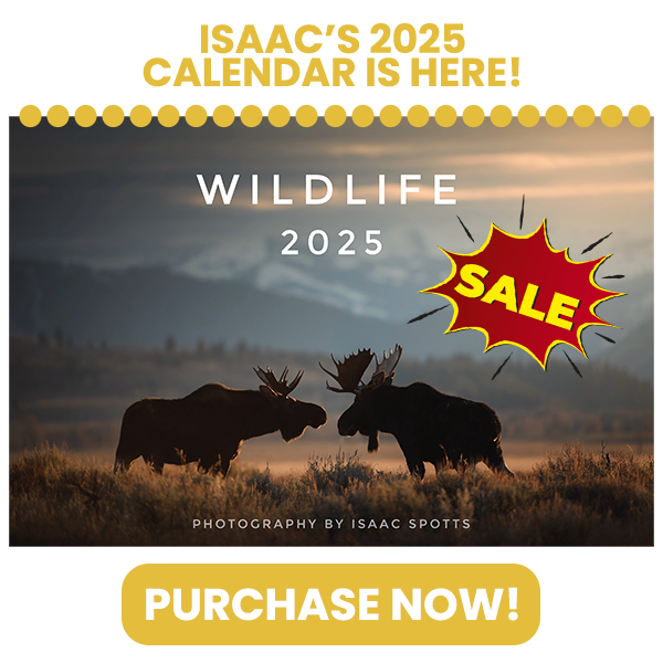 Isaac Spotts Photography | 2025 Wildlife Calendar | Purchase Now, On Sale